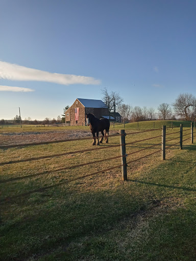 Tack Shop «K T Saddlery», reviews and photos, 62 Log Cabin Rd, Perkasie, PA 18944, USA