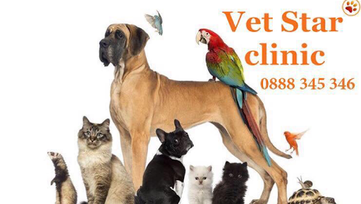Vet Star clinic - Ветеринарна Клиника
