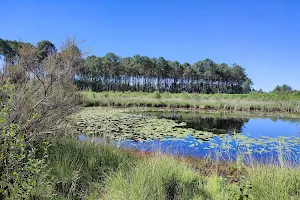 Lagunes du Gât Mort image