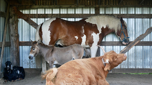 Golf Club «Big Stone Mini Golf», reviews and photos, 7110 County Rd 110 W, Minnetrista, MN 55364, USA