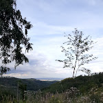 Photo n°14 de l'avis de Mette.r fait le 26/07/2023 à 08:20 sur le  Steinerne Renne à Wernigerode