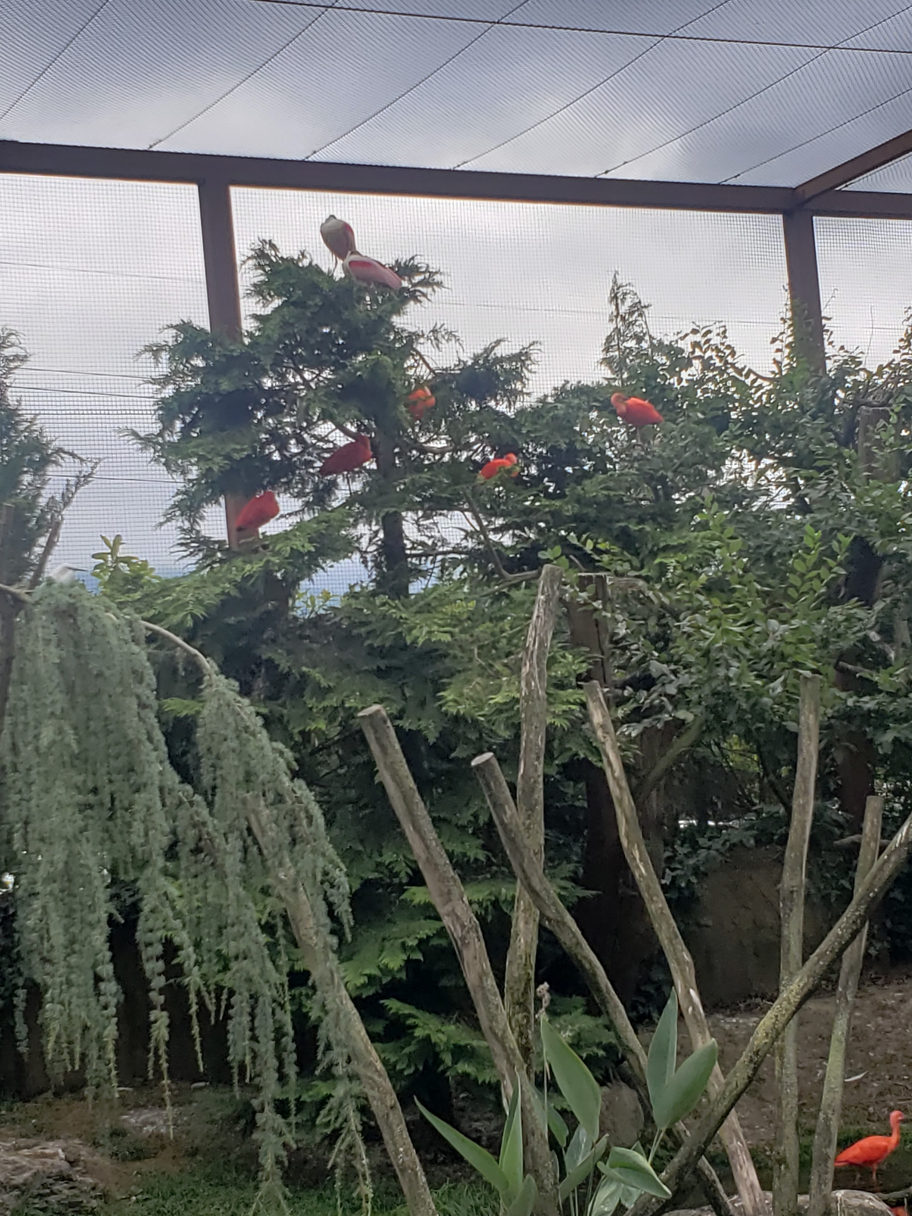 Photo n° 1 de l'avis de Emilie.e fait le 28/07/2022 à 16:01