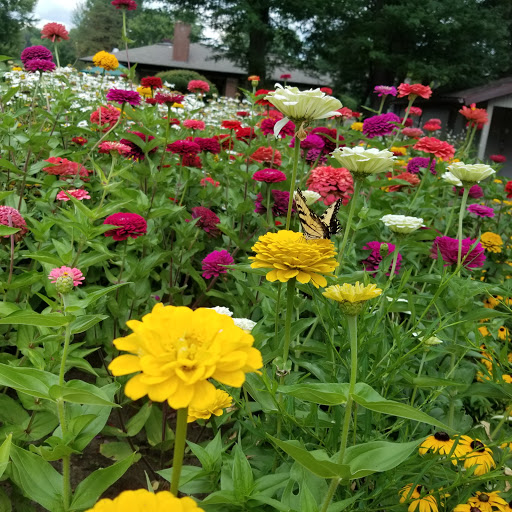 Banquet Hall «Arrowhead Golf Club & Banquet Center», reviews and photos, 1500 Rogwin Cir SW, North Canton, OH 44720, USA