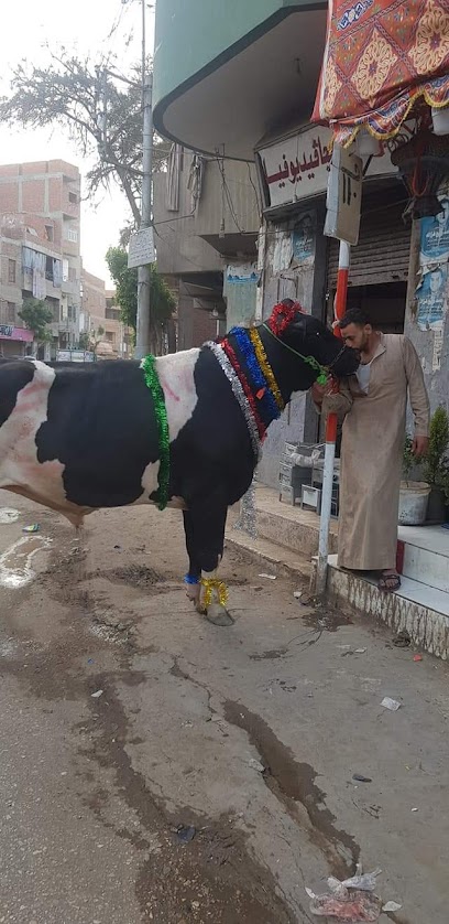 جزاره الامبراطور المعلم عطيه شلبي واخوه المعلم جمال