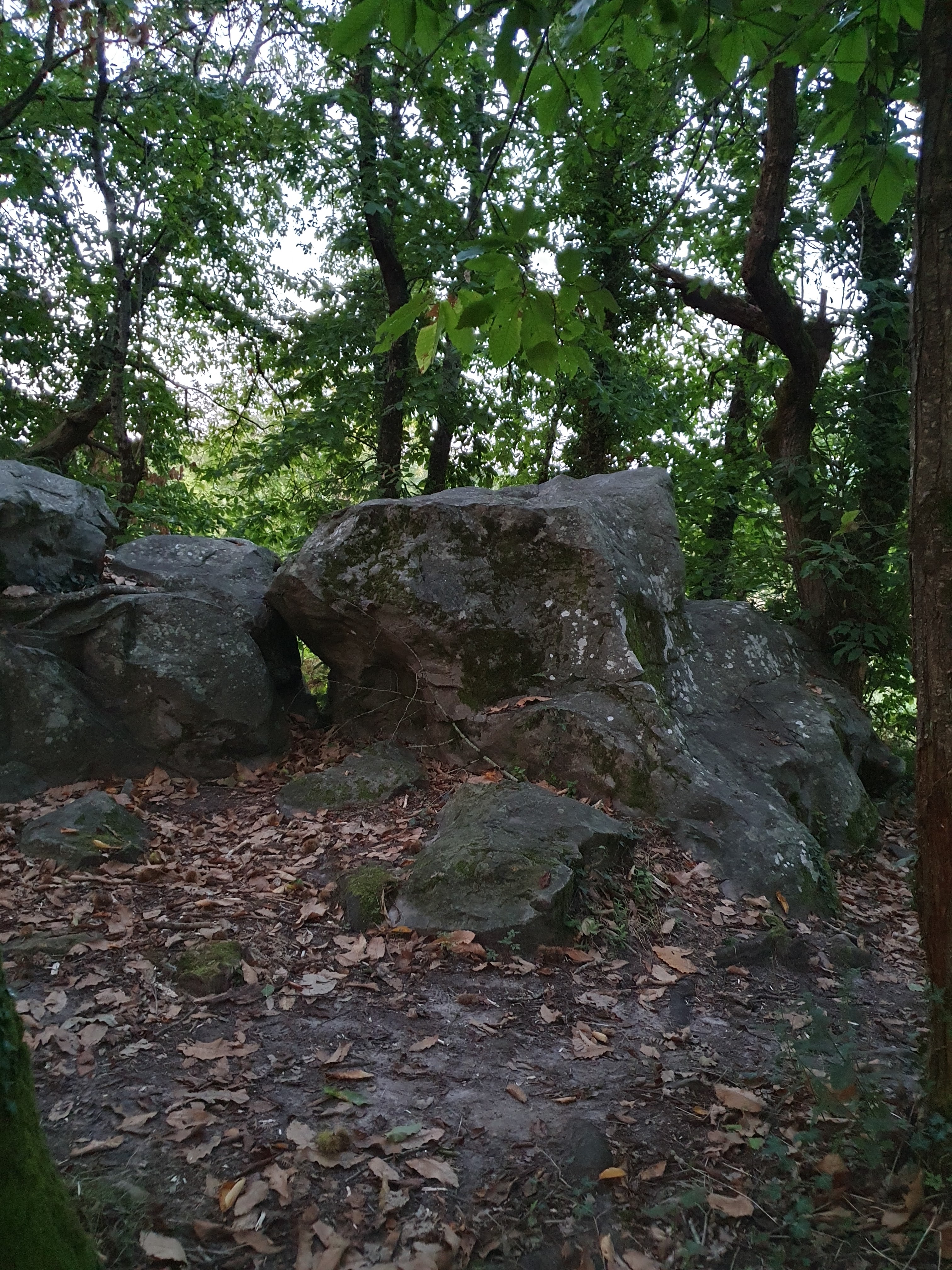 Photo n° 13 de l'avis de Olivier.O fait le 16/09/2023 à 18:27