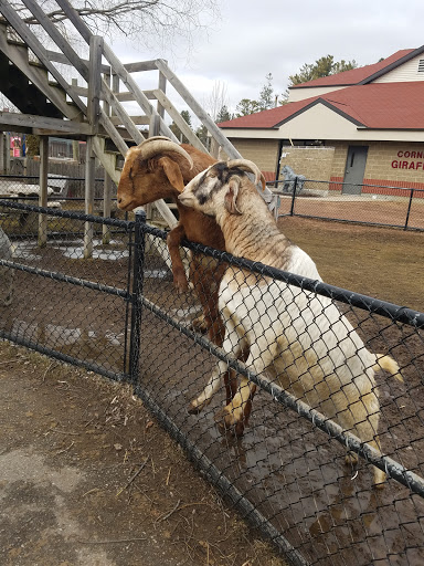 Zoo «NEW Zoo & Adventure Park», reviews and photos, 4378 Reforestation Rd, Green Bay, WI 54313, USA