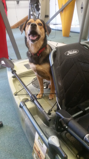 Outdoor Sports Store «Wild River Outfitters Inc», reviews and photos, 3636 Virginia Beach Blvd #108, Virginia Beach, VA 23452, USA