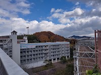 神戸総合運動公園