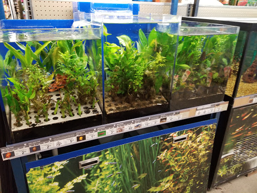 Pet Supply Store «Petco Animal Supplies», reviews and photos, 3551 W Hillsboro Blvd, Deerfield Beach, FL 33442, USA