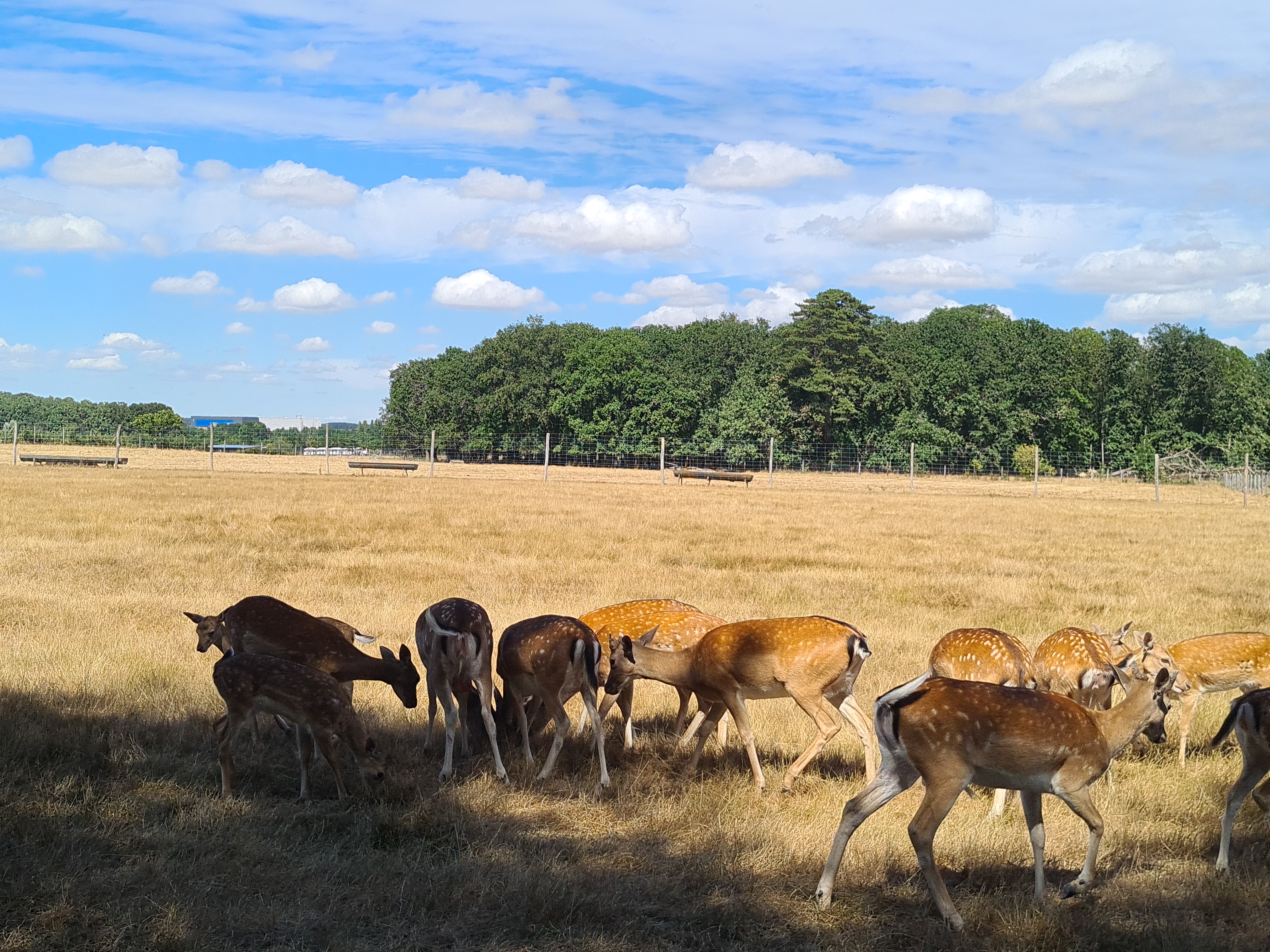 Photo n° 2 de l'avis de Fabien. fait le 01/08/2022 à 18:26