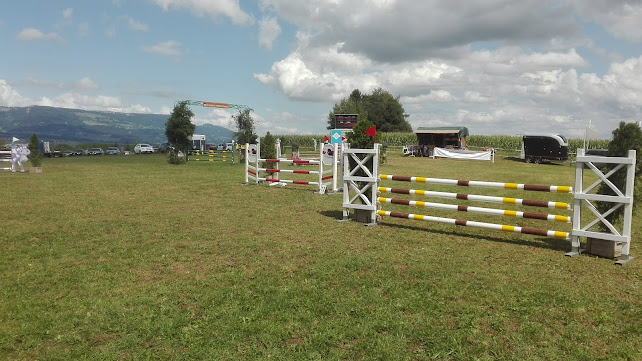 KV WENGI SOLOTHURN - Hundeschule