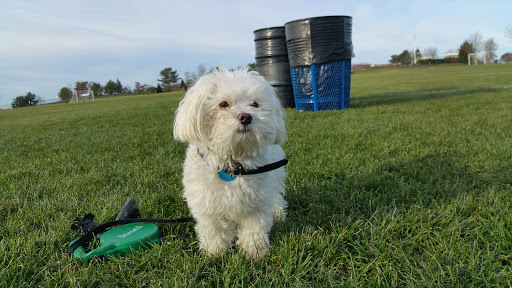 Park «Millennium Park», reviews and photos, 300 Gardner Street, West Roxbury, MA 02132, USA
