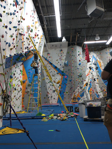 Elite Climbing, LLC