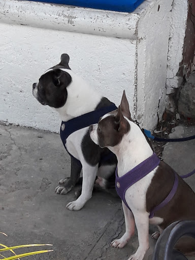 Grocery Store «Corner Store», reviews and photos, 1118 W 37th St, San Pedro, CA 90731, USA