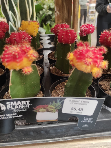 Home Improvement Store «The Home Depot», reviews and photos, 150 Midland Ave, Port Chester, NY 10573, USA