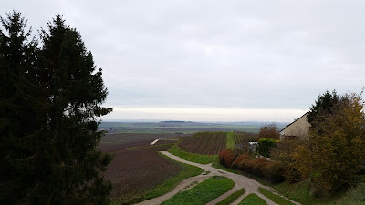 Champagne Forget Brimont à Ludes