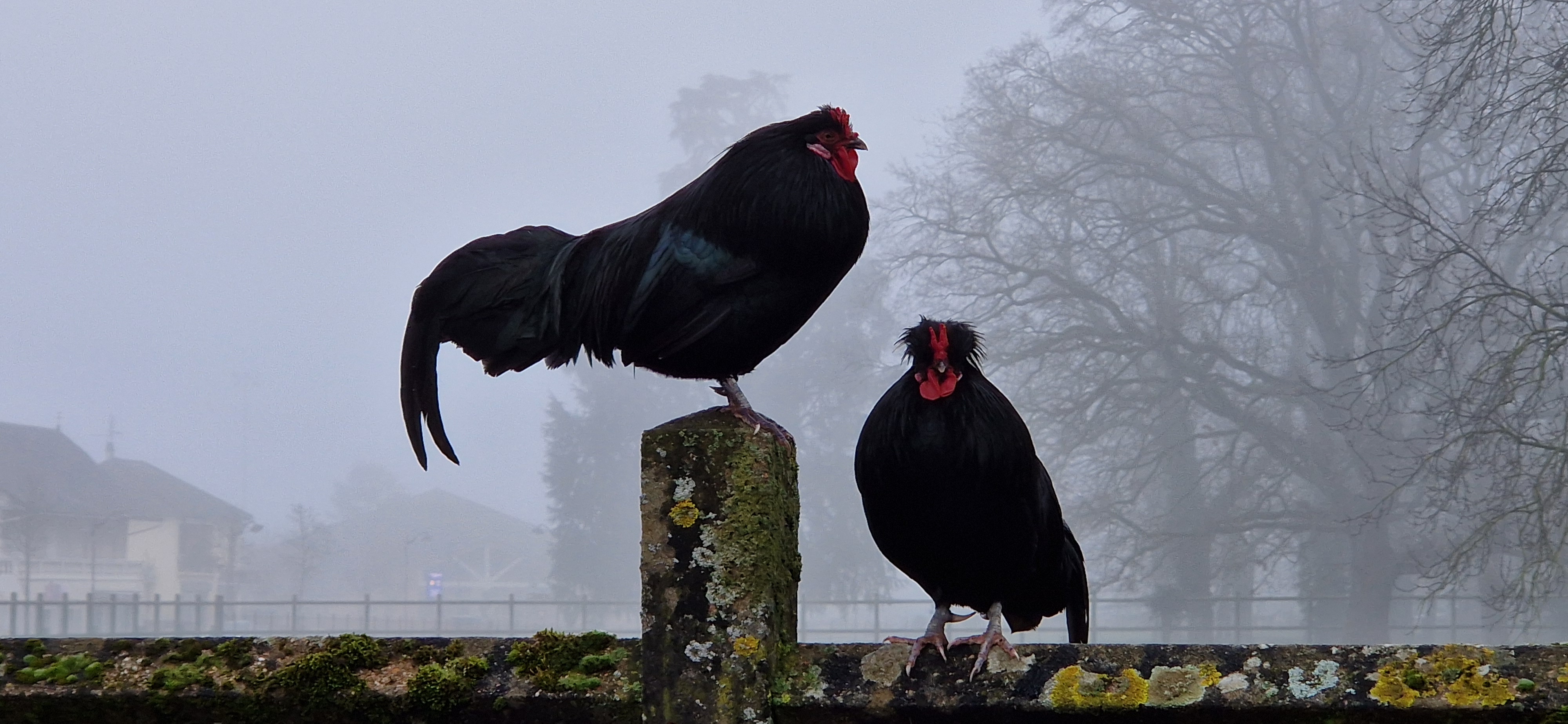 Photo n° 1 de l'avis de Jerome.I fait le 28/01/2024 à 17:55