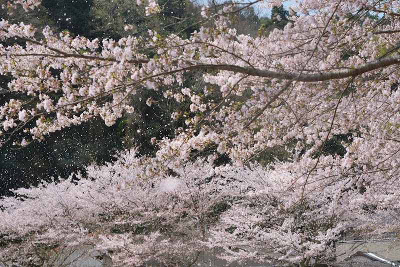 祝森公民館