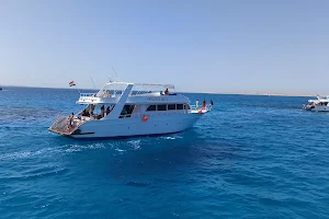 Egypt International Sea Trips & Water Sports image