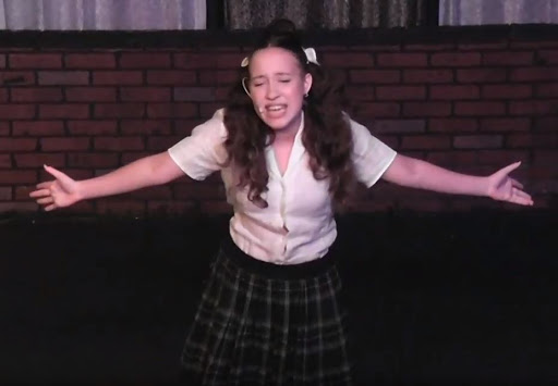 Performing Arts Theater «Showtime Performing Arts Theatre», reviews and photos, 503 SE Mizner Blvd, Boca Raton, FL 33432, USA