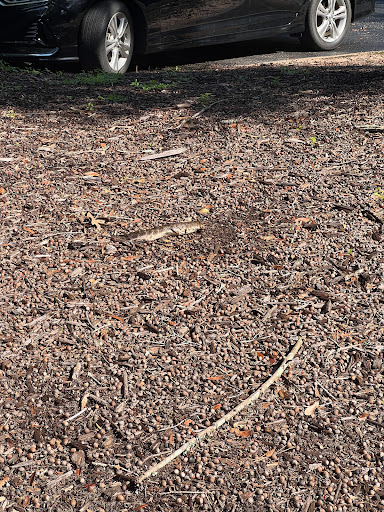 Golf Course «Highland Oaks Golf Course», reviews and photos, 904 Royal Pkwy, Dothan, AL 36305, USA