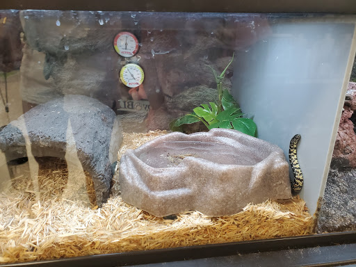 Pet Supply Store «Petco Animal Supplies», reviews and photos, 1150 El Camino Real #167, San Bruno, CA 94066, USA