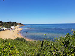 Zdjęcie Ranelagh Beach z poziomem czystości wysoki