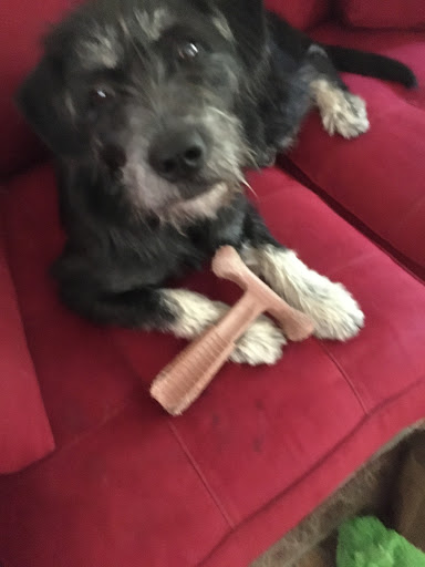 Pet Supply Store «PetSmart», reviews and photos, 4400 Fort Jackson Blvd #300, Columbia, SC 29209, USA