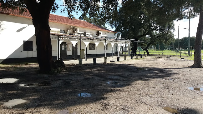 Águias Negras Futebol Clube