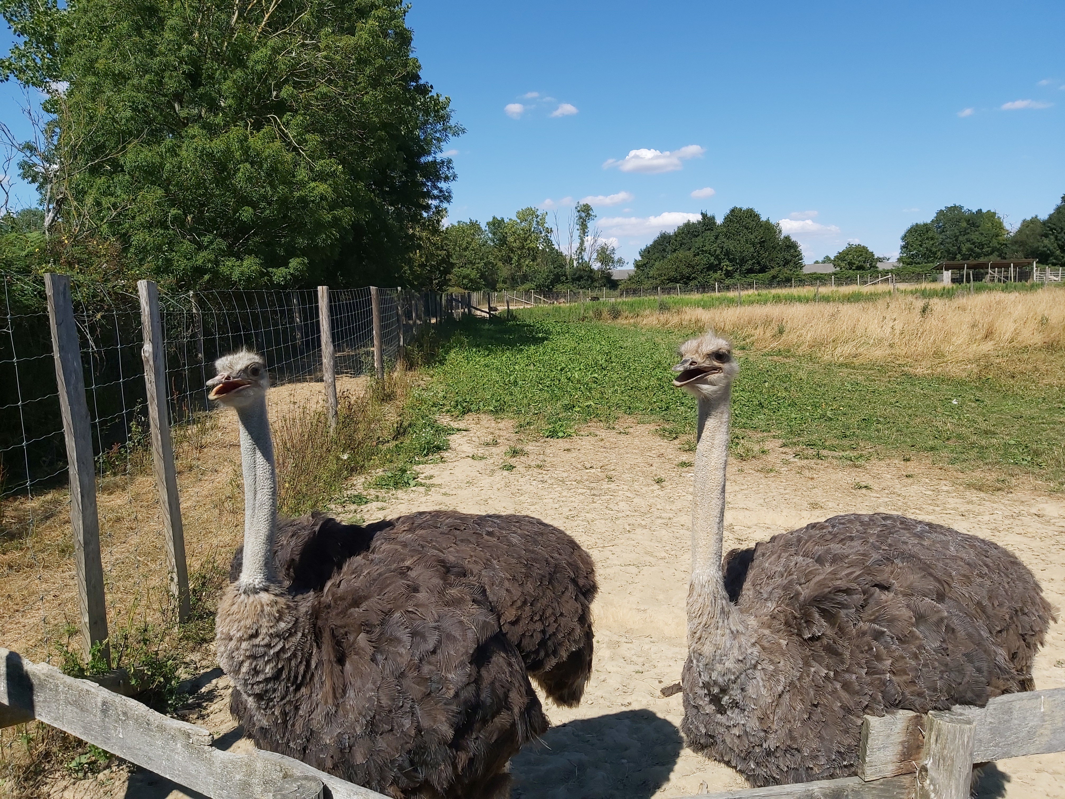 Photo n° 12 de l'avis de Guigeek_22. fait le 25/07/2020 à 21:01