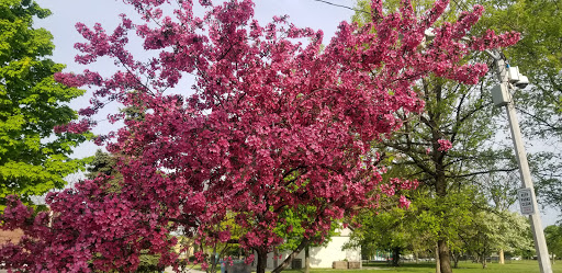 Park «Pasteur Park», reviews and photos, 5825 S Kostner Ave, Chicago, IL 60629, USA