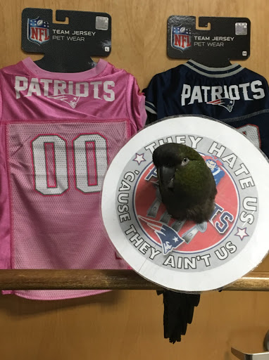 Pet Supply Store «Mellisa’s PET DEPOT», reviews and photos, 83 Faunce Corner Mall Rd, Dartmouth, MA 02747, USA