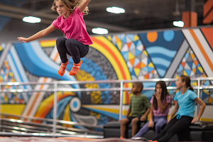 Sky Zone Trampoline Park image