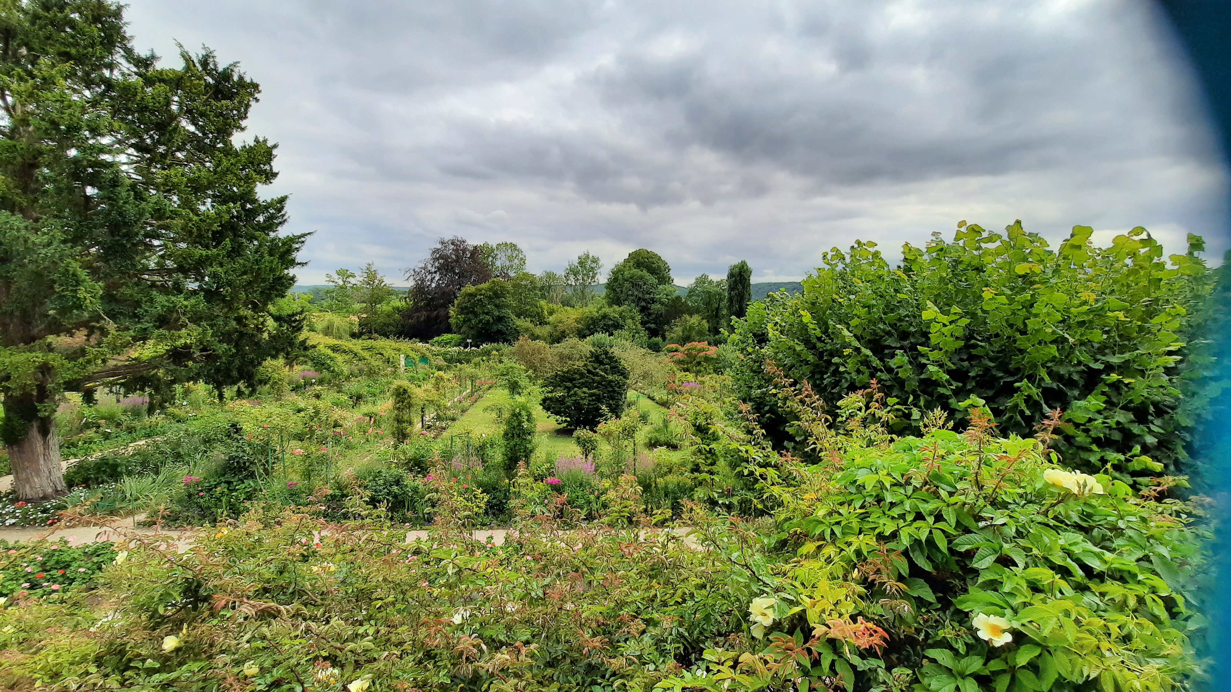 Photo n° 4 de l'avis de Louve.e fait le 22/07/2020 à 08:42