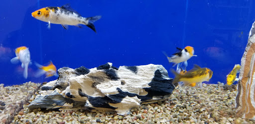 Pet Supply Store «PetSmart», reviews and photos, 1515 US-22, Watchung, NJ 07069, USA