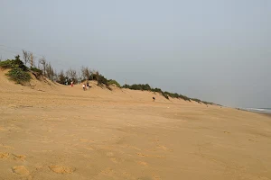 Chandrabhaga Beach, Puri image