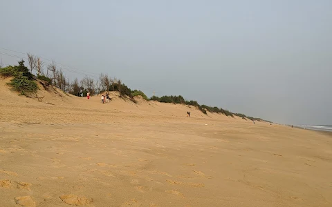 Chandrabhaga Beach, Puri image