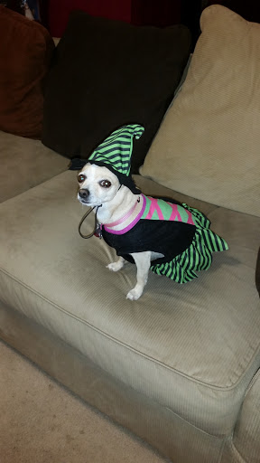 Pet Supply Store «PetSmart», reviews and photos, 6046 Marsha Sharp Fwy, Lubbock, TX 79407, USA