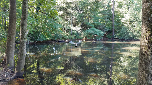 Performing Arts Theater «Chastain Park Amphitheatre», reviews and photos, 4469 Stella Dr NW, Atlanta, GA 30342, USA