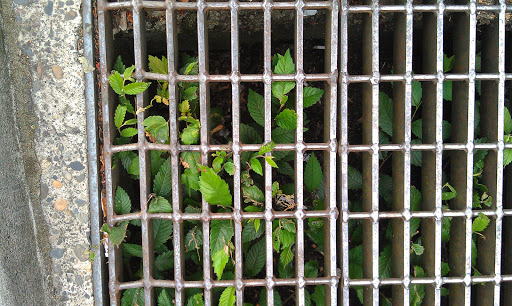 Park «Director Park», reviews and photos, 815 SW Park Ave, Portland, OR 97205, USA