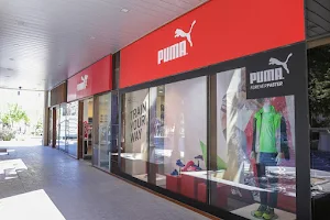 Puma image