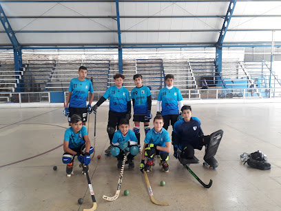 Club Olimpia De Hockey