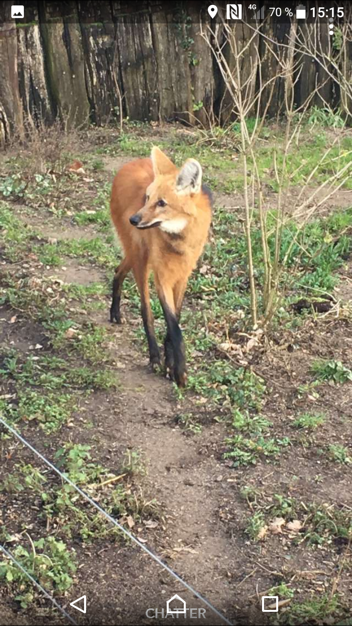 Photo n° 4 de l'avis de Kat.r fait le 24/08/2018 à 11:32