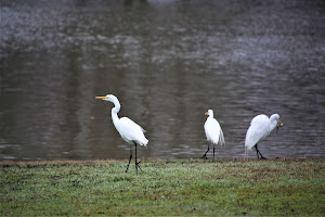 Leonard and Helen Johns Park