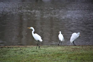 Leonard and Helen Johns Park image