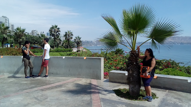 Parque del Libro, Miraflores 15074