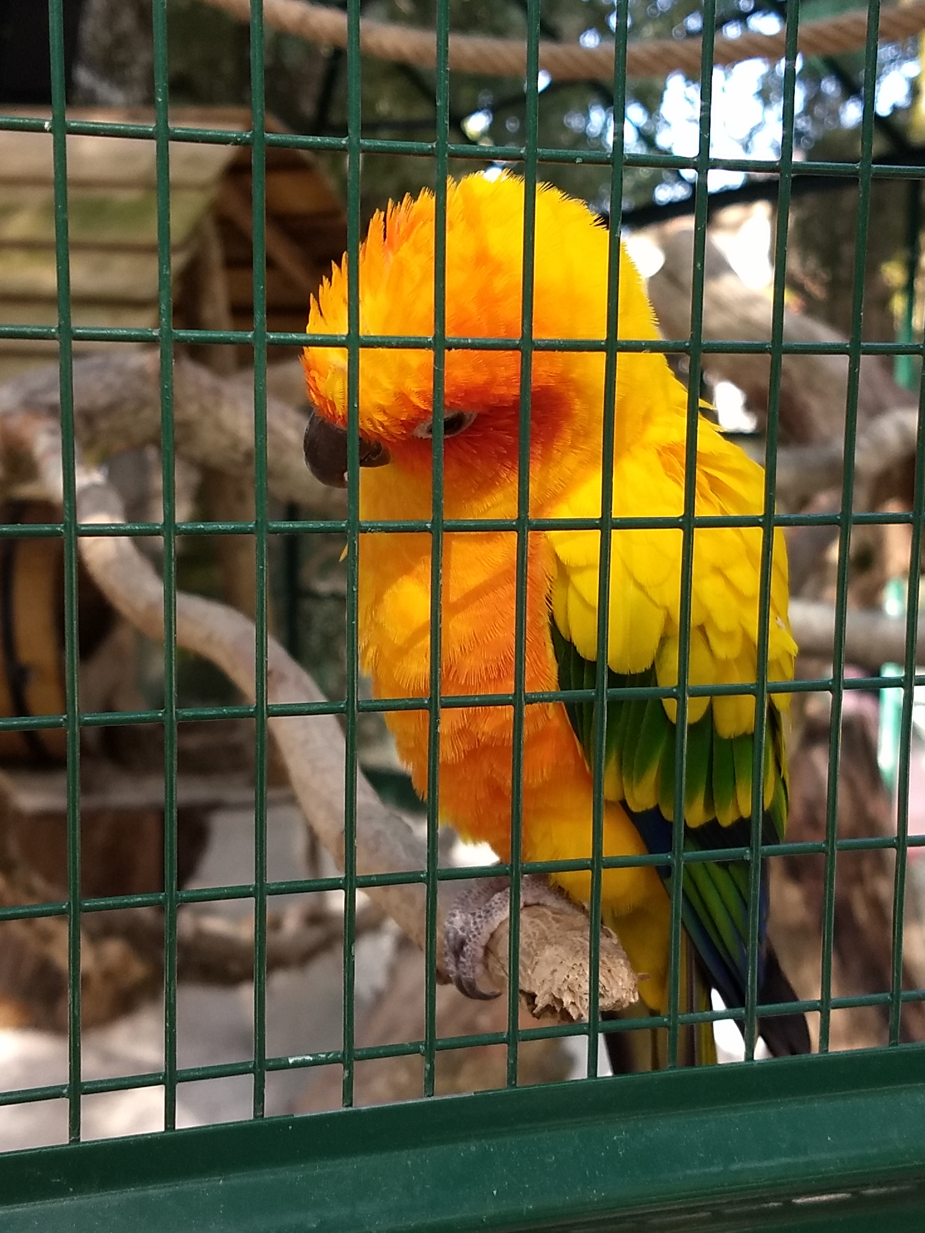 Photo n° 4 de l'avis de aurore. fait le 15/09/2018 à 17:03