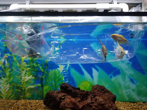 Pet Supply Store «Petco Animal Supplies», reviews and photos, 629 E Dundee Rd, Palatine, IL 60067, USA