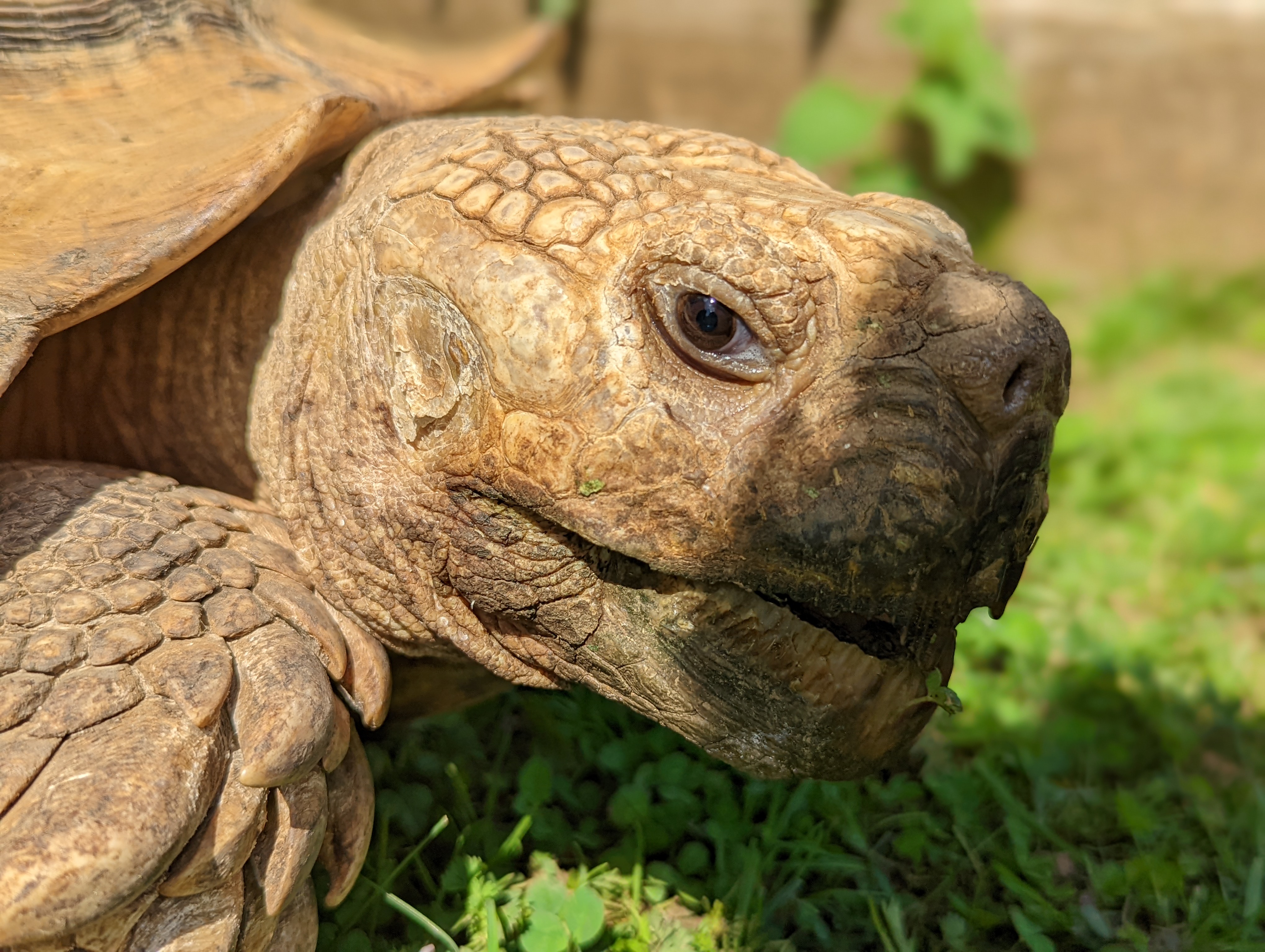 Photo n° 20 de l'avis de Mathieu.I fait le 07/05/2022 à 19:56