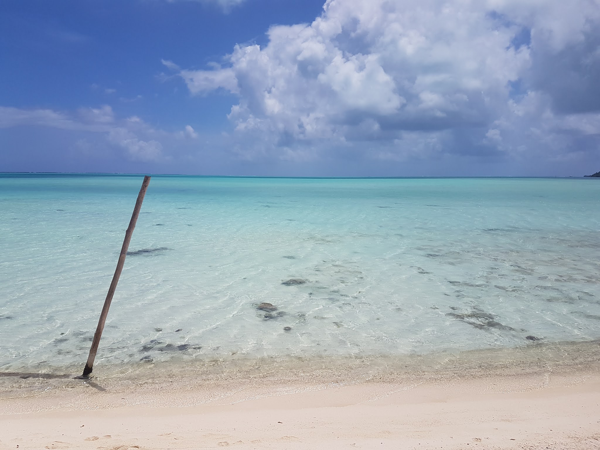 Photo n° 1 de l'avis de rachid.e fait le 17/06/2020 à 07:58